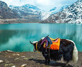 Netarhat & Betla Wildlife Tour